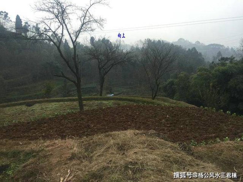 成都公墓价格如何？一起来看看最新报价！