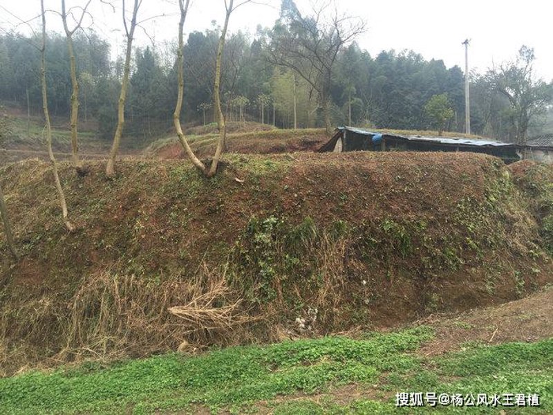 成都市墓地价格如何？一份详尽的市场调研报告