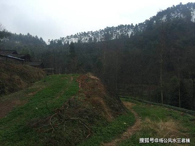 为什么选择成都是一个明智的决定?让我们一起看看这里的墓地市场。