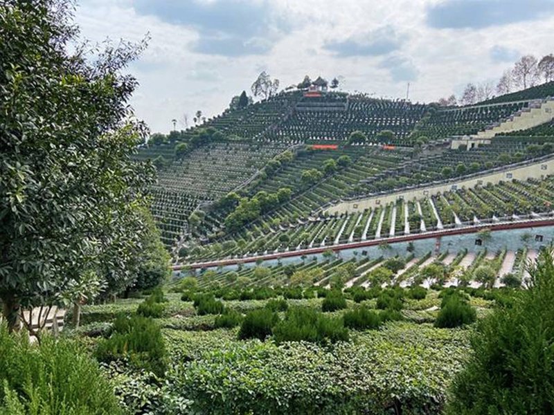 如何选择合适的成都陵园？一份详细的指南